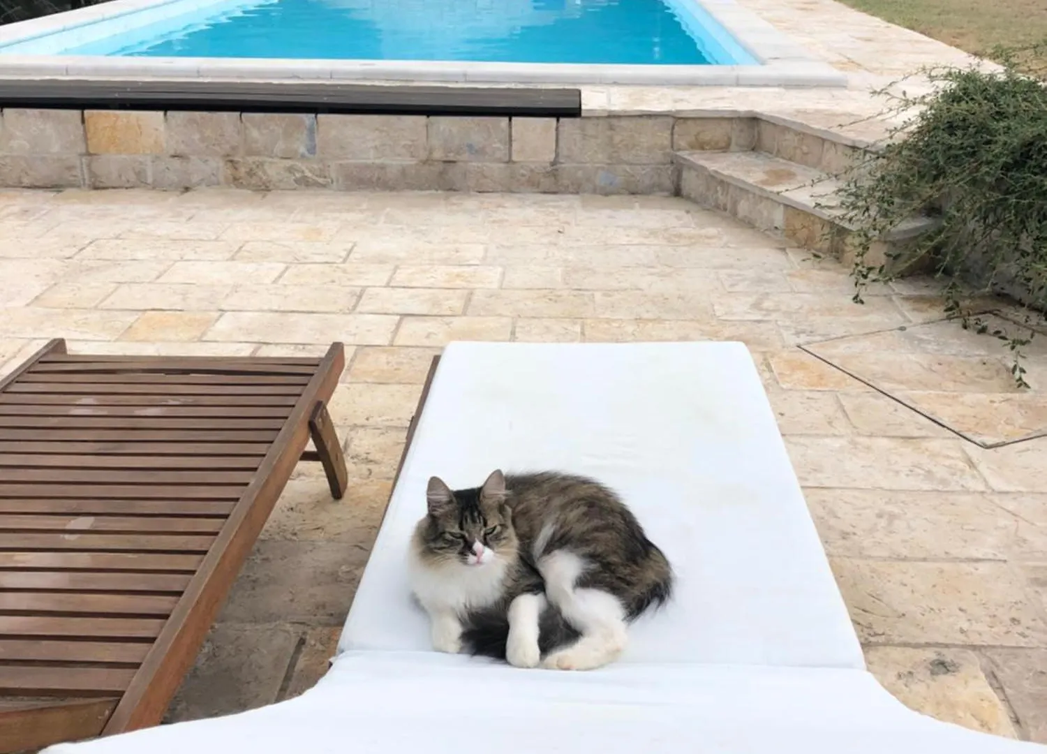 Holiday House Green Dream Obrovac 0*,  Kroatien